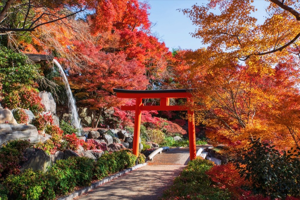 Shipped from Kyoto